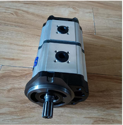 Vö pavers      Rammer dual gear pump part number 9627931000