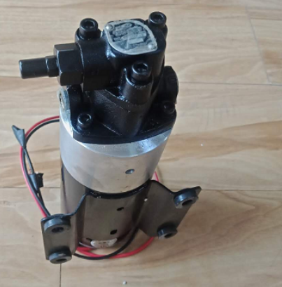 Vö pavers   Clean diesel pump part number 2613214