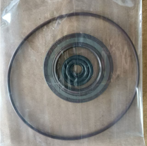 BOMAG Vibration Motor Repair Kit Part Number 05804569