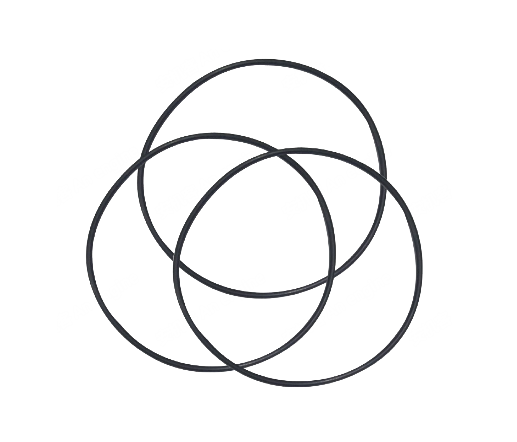 DYNAPAC vibration motor O-ring part number 160279