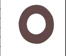 EN name gasket  Part No. 5262030