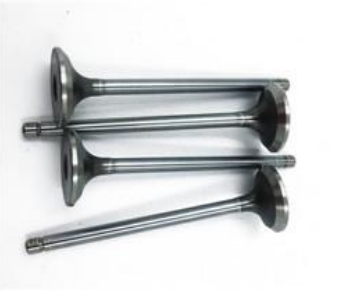 CN name Exhaust valve Part No.5256949/5308265