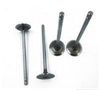 CN name intake valve Part No.5261320/5308264