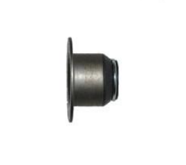 CN name Oil Seal Part No. 4976170