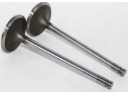 CN name intake valve Part No. 3924492